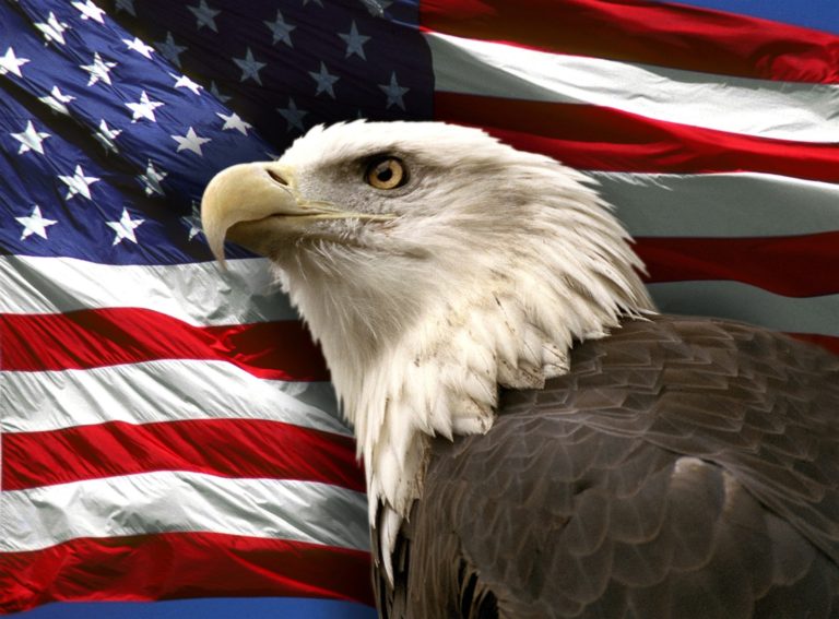 American-flag-bald-eagle-images-download 